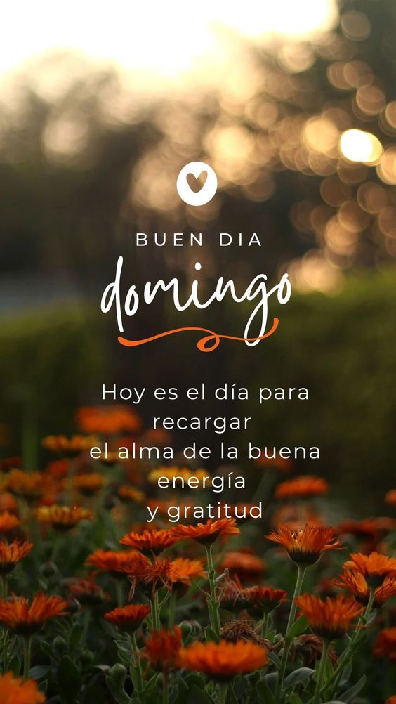 rivasmaria's tweet photo. https://t.co/YvD02scVlv
