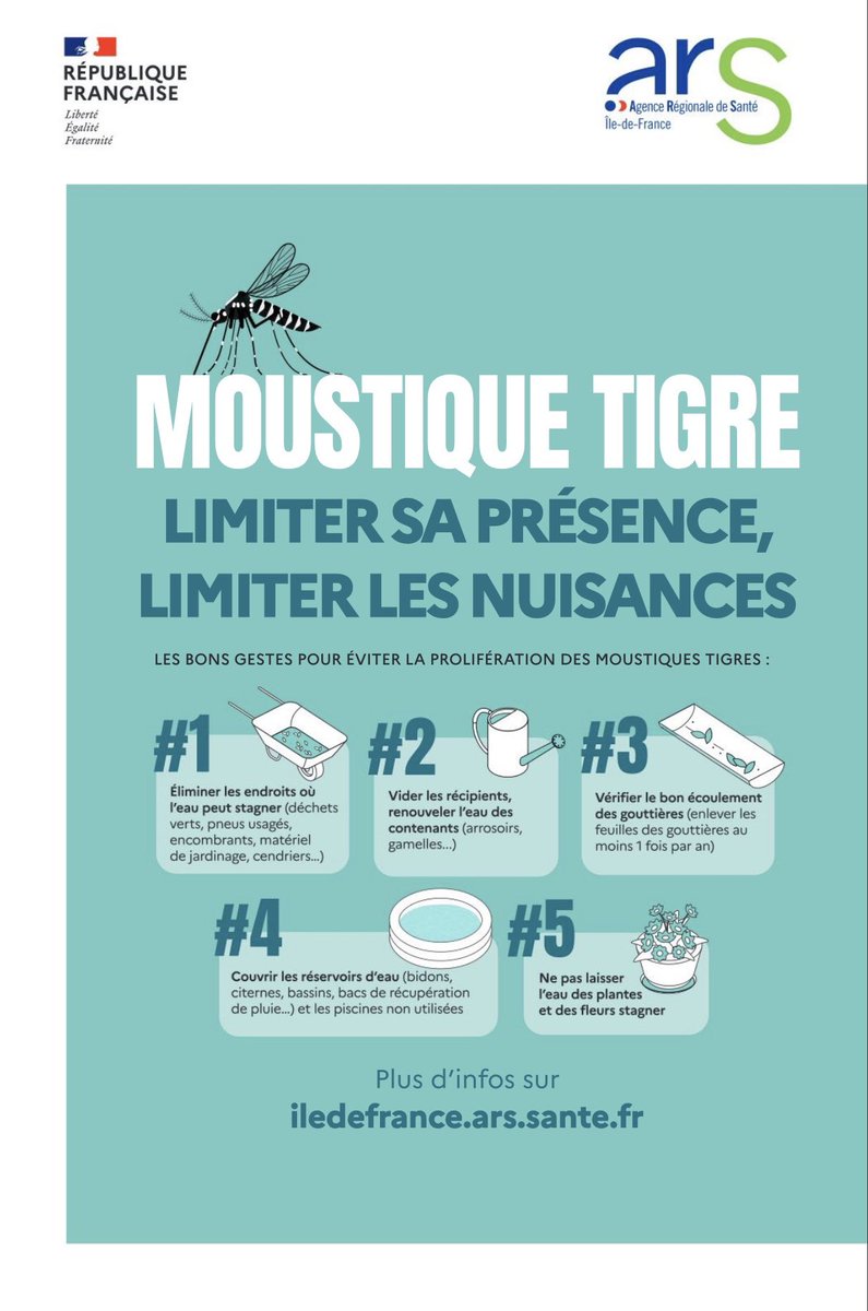 Image de Préfet des Hauts-de-Seine - Moustique Tigre 🦟 Il pique, il gratte, mais surtout, il transmet&nbsp;! 

👉 Videz vos récipients, chang