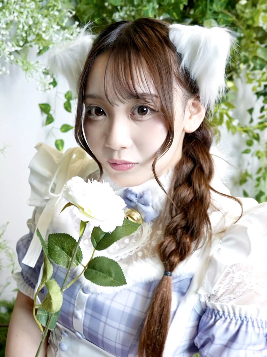 psss519's tweet photo. ꙳ 260705 ꙳ 撮影会

#PinkySpice #七瀬志乃 https://t.co/mmjrDpCx42