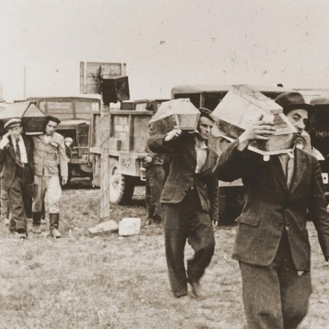 MrMyslytskyi's tweet photo. Gratulacje dla szanownych Polak��w z okazji 80. rocznicy pogromu kieleckiego – ostatniego pogromu Żydów w Europie, dokonanego przez rozwścieczonych mieszkańców Kielc. Wówczas Polacy w bestialski sposób mordowali swoich żydowskich sąsiadów, którzy cudem przeżyli Holokaust. 
1/3 https://t.co/wPsnO7iknC
