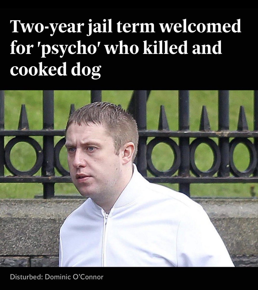 dhalugaas's tweet photo. @VideosIrish Somalis are Muslims they don’t eat pork how can they dogs? they can even go to near them they have to wash their hands 7 times if they touch a dog https://t.co/uERlovJqMC
