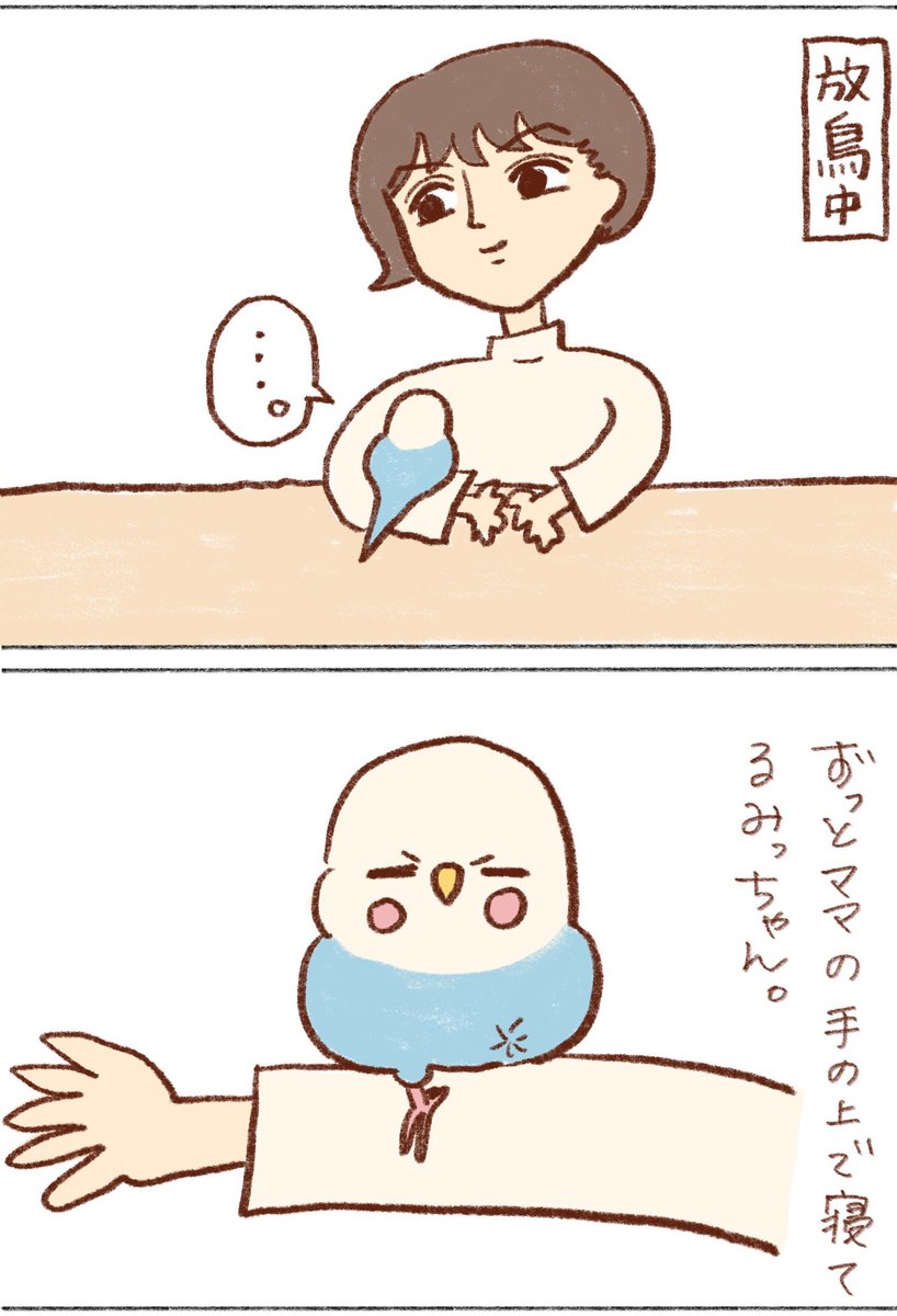 tanikonatsu_2's tweet photo. いちばん安心できる場所🤲

#インコ https://t.co/y0sIfH1hyF