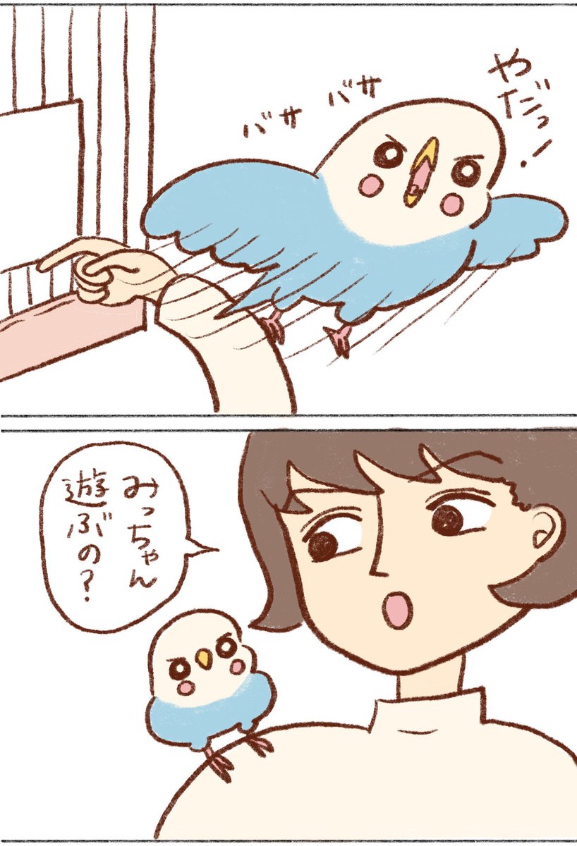 tanikonatsu_2's tweet photo. いちばん安心できる場所🤲

#インコ https://t.co/y0sIfH1hyF
