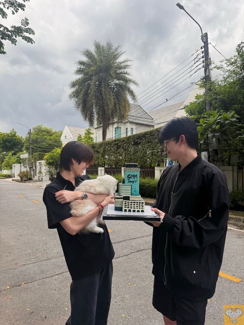 fessthai | เฟสไทย tweet media