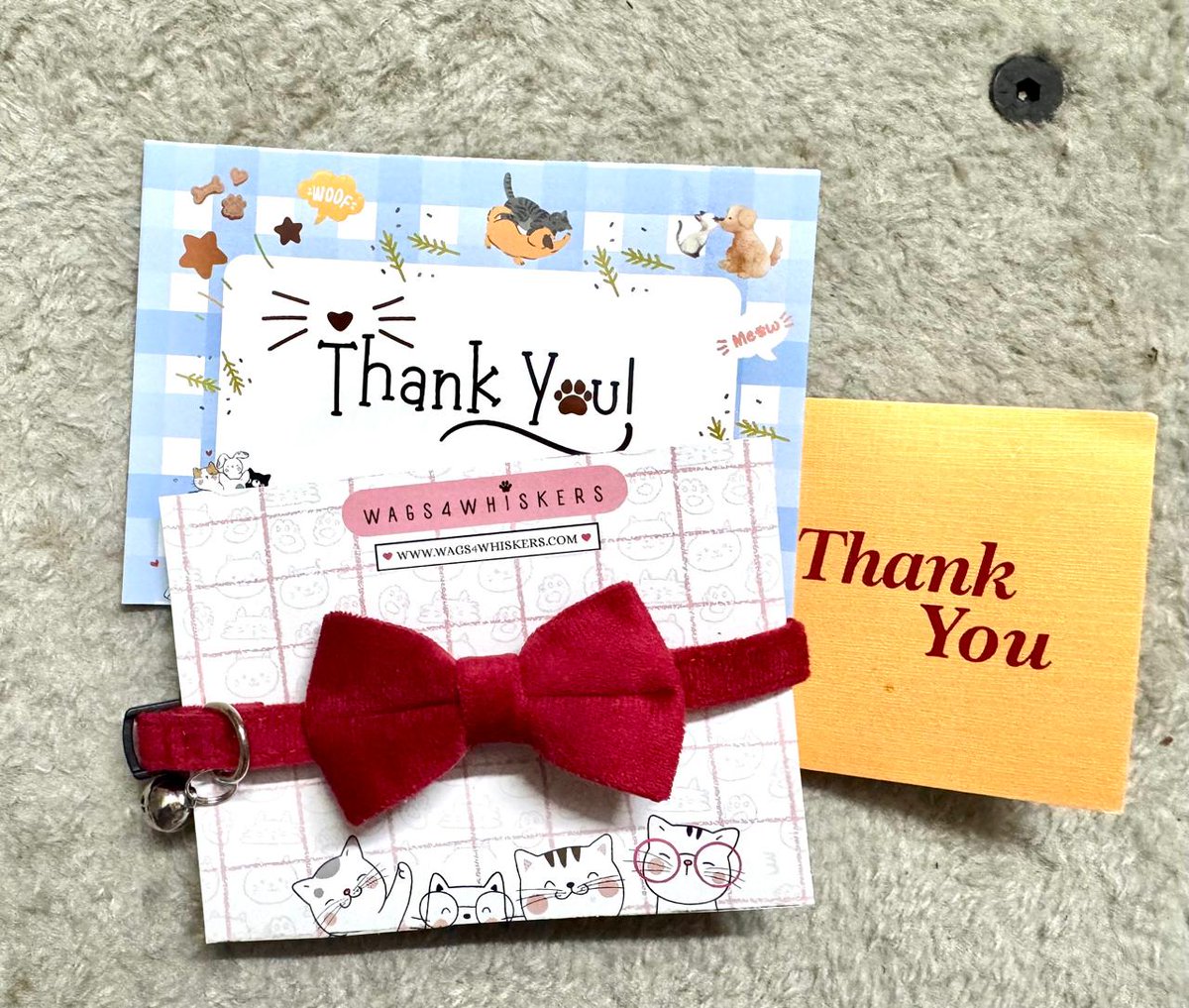 Wags4W's tweet photo. One more happy kitty wearing a Wags4Whiskers cat collar. 💛 

Thank you for your order and for supporting our small business! 

Visit our website to explore our collection of stylish pet accessories.
https://t.co/G8MFTcP2yq

#Wags4Whiskers #CatCollar #CatAccessories #CatLovers https://t.co/j3mdDlMQuE