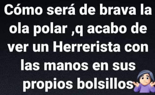 Selva Andreoli tweet media
