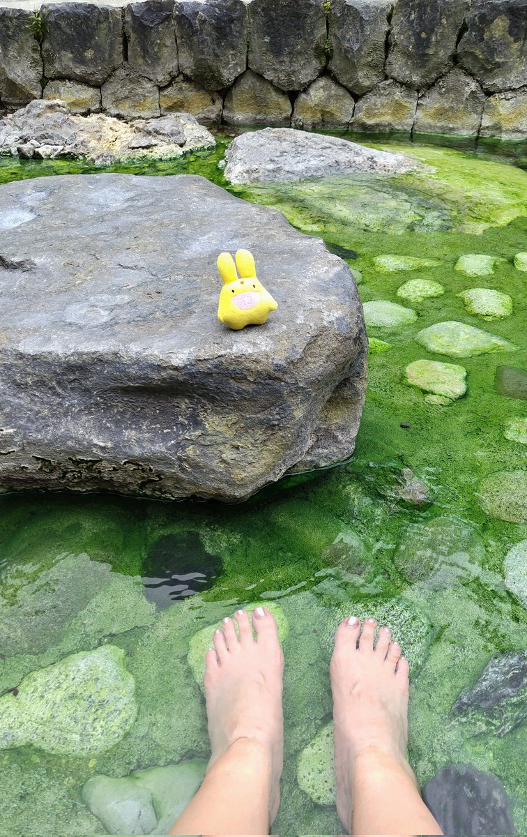 CarbuncleVoyage's tweet photo. カーくんと、草津温泉の色んな足湯に入って来たよ！！ https://t.co/utfUUkT0iV
