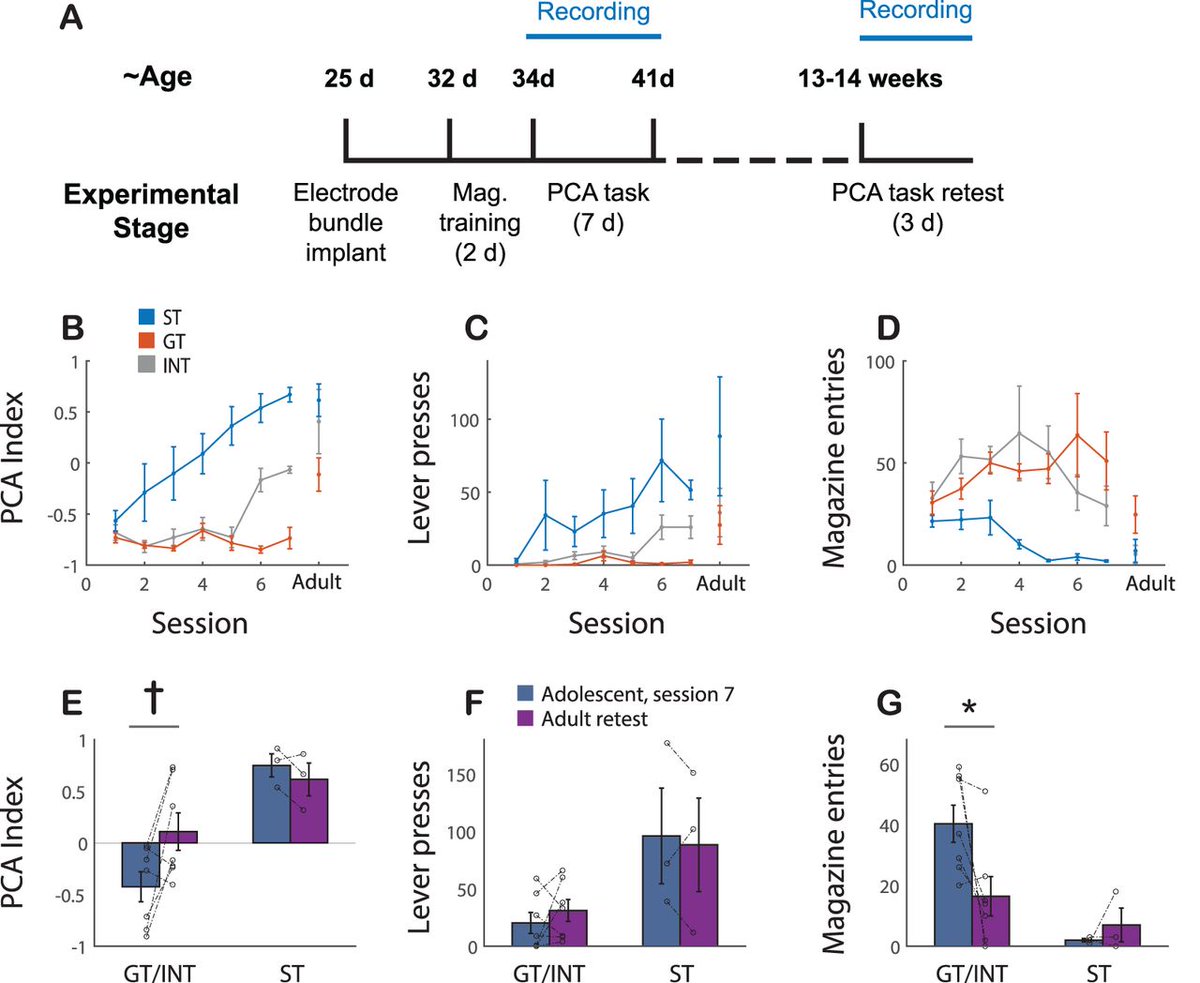 SfNJournals's tweet photo. #eNeuro | A Distinct Adolescent Profile for Activity and Dopamine Release in the Nucleus Accumbens during Pavlovian Conditioning
https://t.co/EGlvmI75kJ https://t.co/rpF1vUYArb
