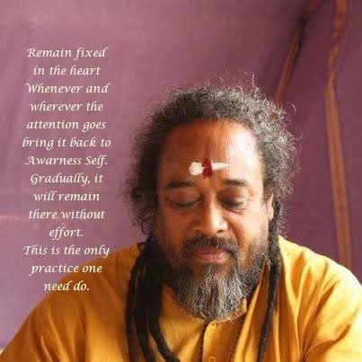 Ananda tweet media