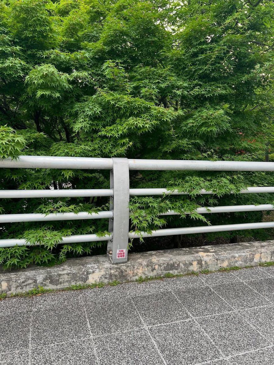 bori_ysy's tweet photo. 이재명 가짜 https://t.co/zGbn9SDxoy