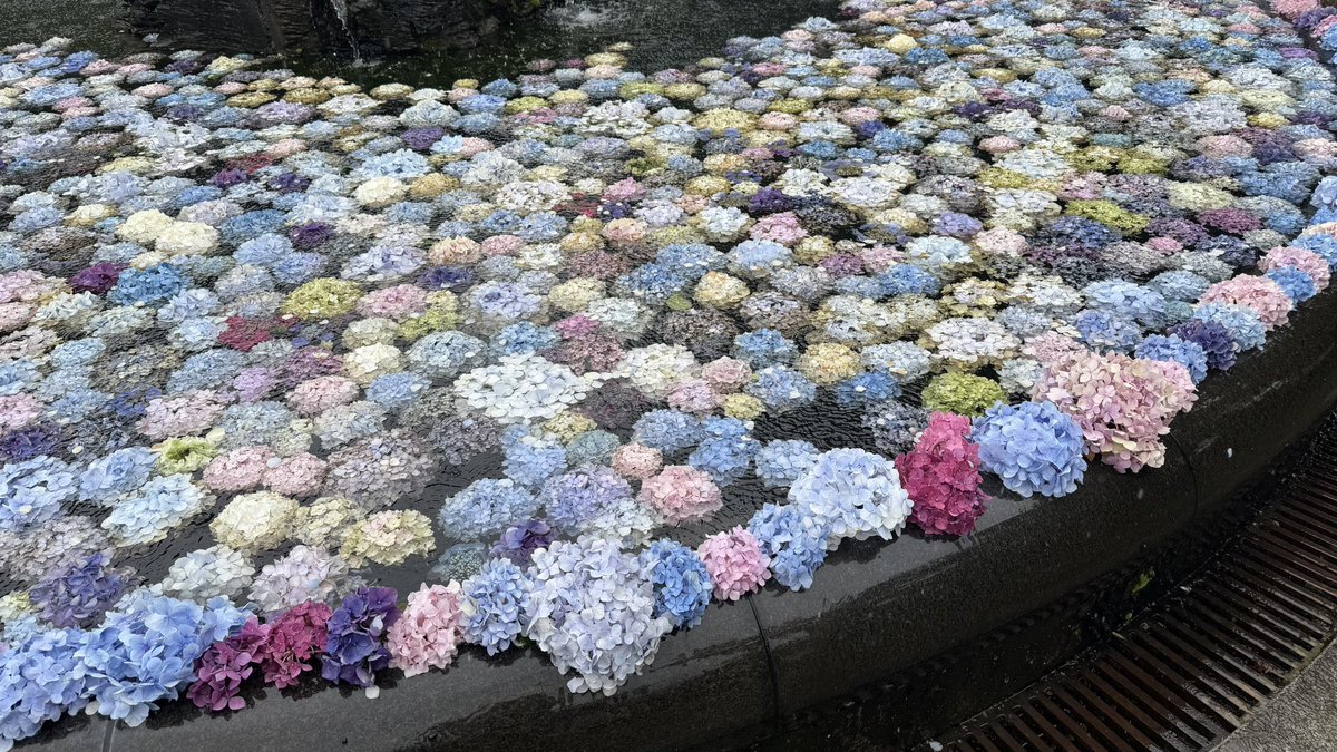 12hichama's tweet photo. 台風の日だったのに超遠出  ☔️ 
 
 #日常垢  #日常垢さんと繋がりたい 
 #スピ活   💫 https://t.co/JOaUgeV74M