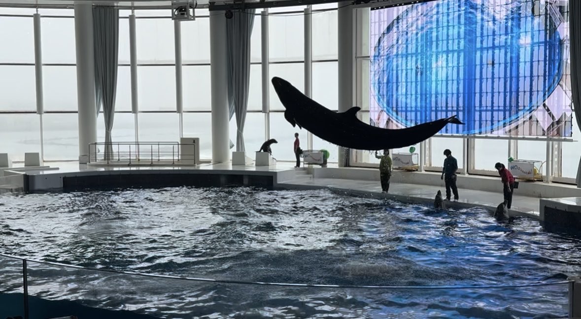 apipipis2's tweet photo. 家族で水族館行ってきた！
たくさんサメ🦈見れて楽しかった🦈
4枚目の魚可愛いかった！ https://t.co/rcSc3VzapZ