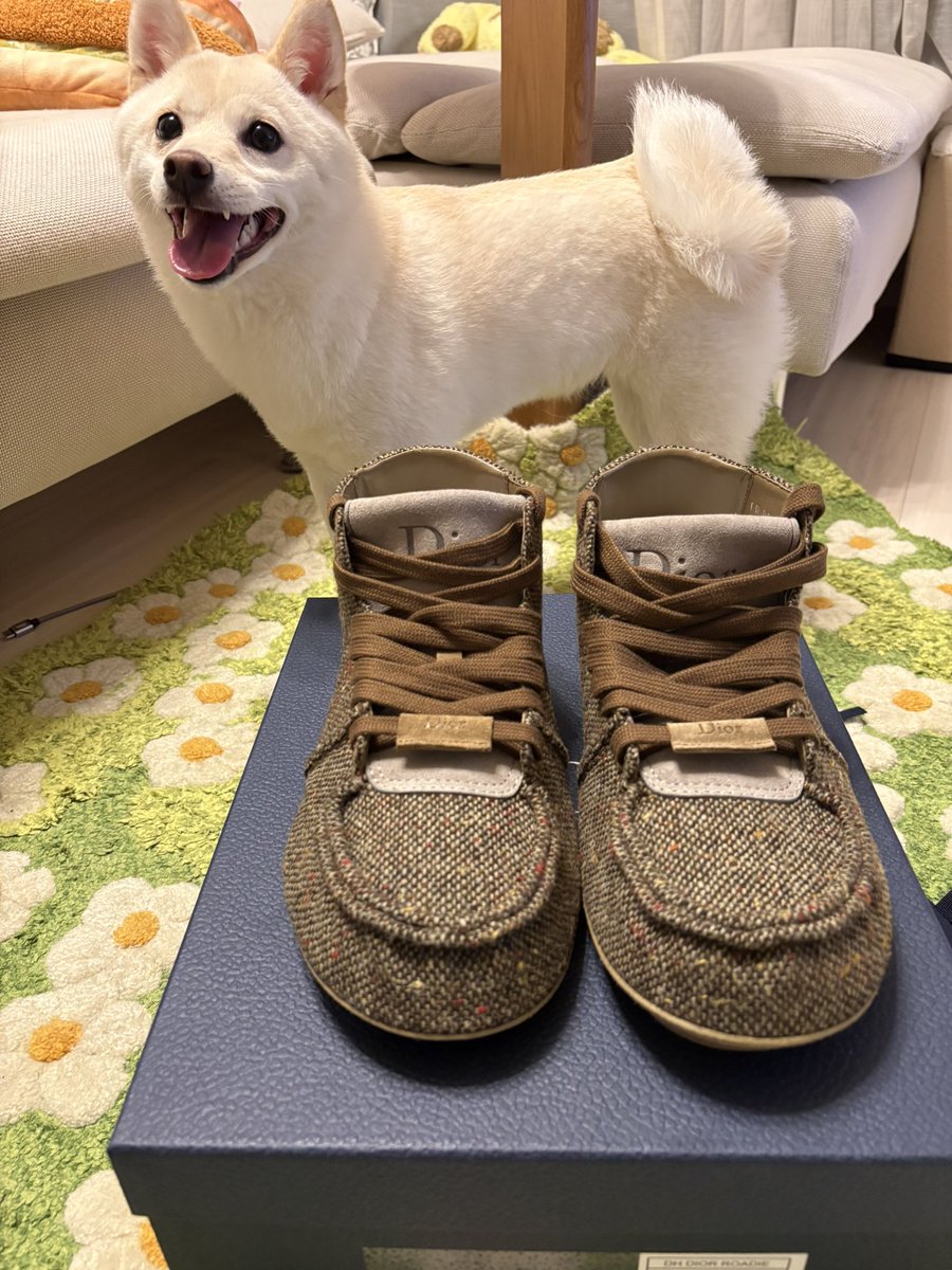 takosulog's tweet photo. ようやくローディー手に入れた
ランウェイの時から長かったー https://t.co/4hoXHlQswy