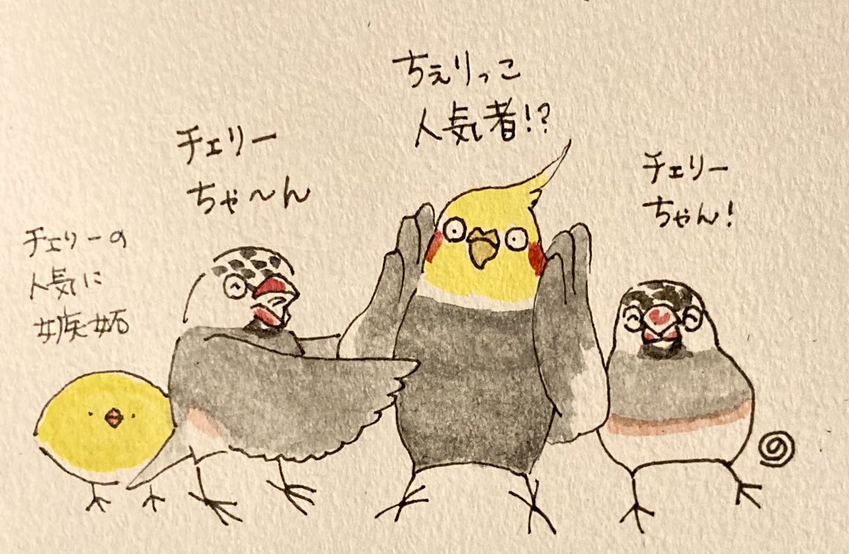 NORISAN鳥タロット新パッケージ発売！ (@okameinko1bunch) / Posts / X