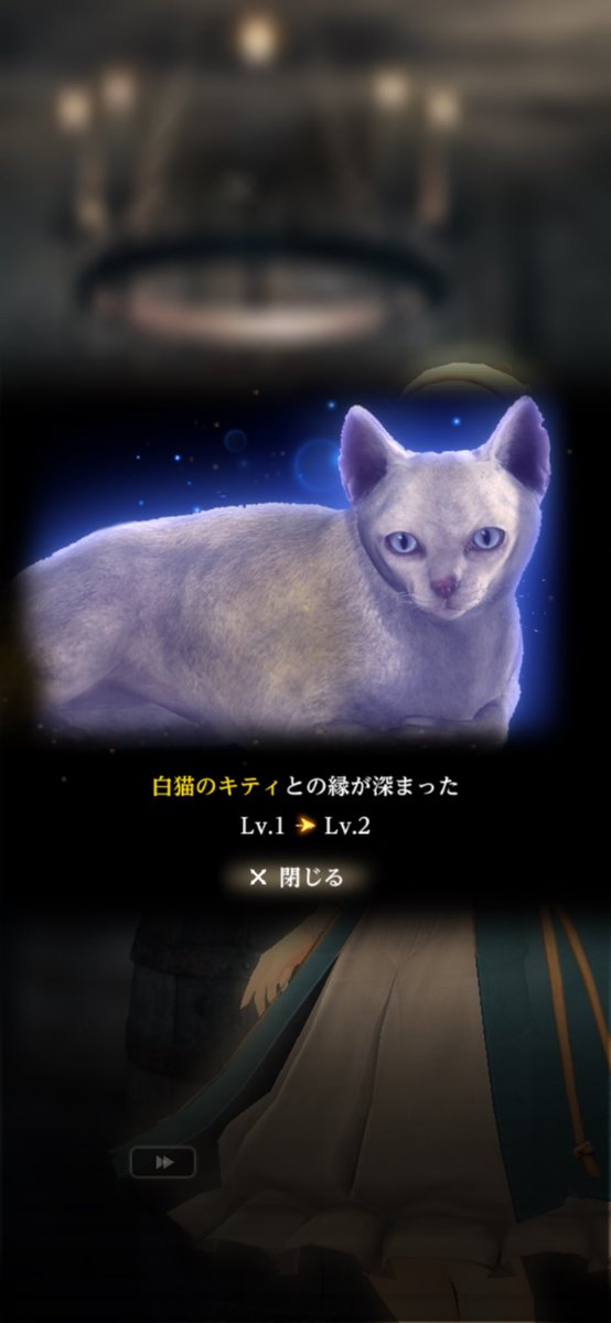 YUGA500's tweet photo. 2周目普通サイズの漁師依頼ドン詰まりしてたのが報われました٩( ᐛ )و
#ウィズダフネ https://t.co/bZNyRuUbCf