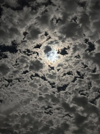 paigecrapulent's tweet photo. the moon was playing hide and seek 🌙 https://t.co/oSxwZzTJFV