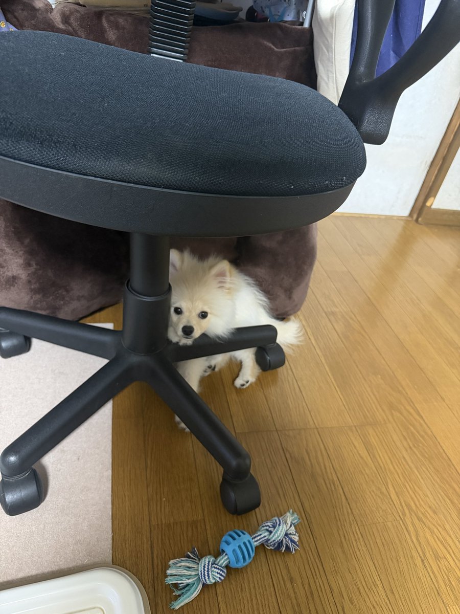 もふもふOPENしてます✨ 今夜はクロちゃん💜 日曜日もバリバリ楽しん