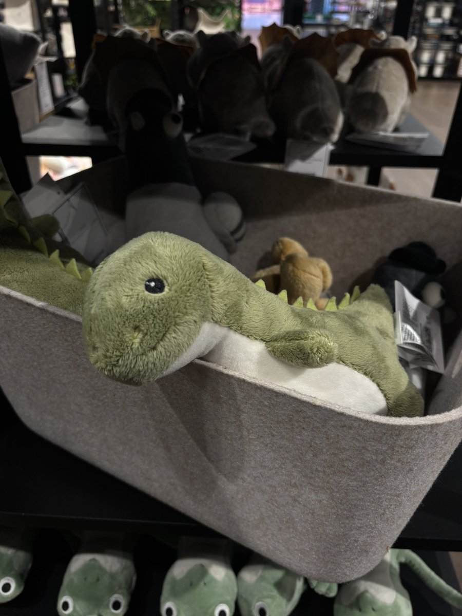 oprwg's tweet photo. ₊˚ʚ 🌱 ₊˚🦖 https://t.co/DEx2mHHUFZ