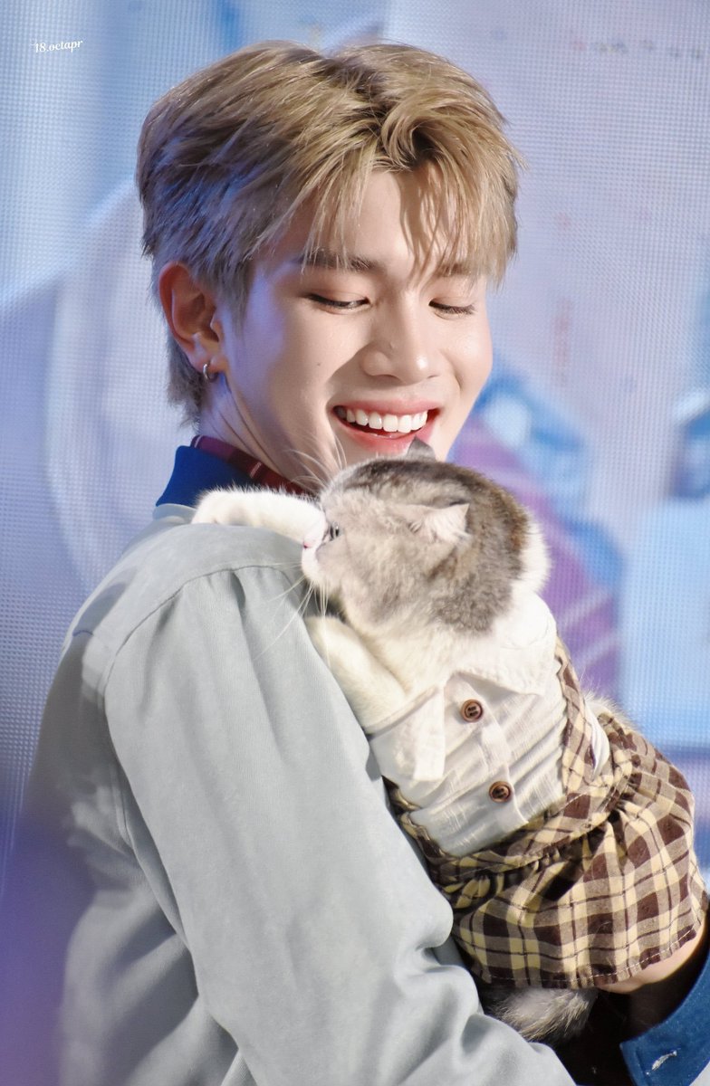 gemfourthie's tweet photo. visual mereka tuh cocok BANGETTTTTTT nggak tau kenapa?! terus fourth blonde juga makin bikin dia cantik dan manis?! 

GEMINIFOURTH KKN PET EXPO
#NEKKOxGeminiFourthม่วนคักที่ขอนแก่น https://t.co/3GSVzJXv6S