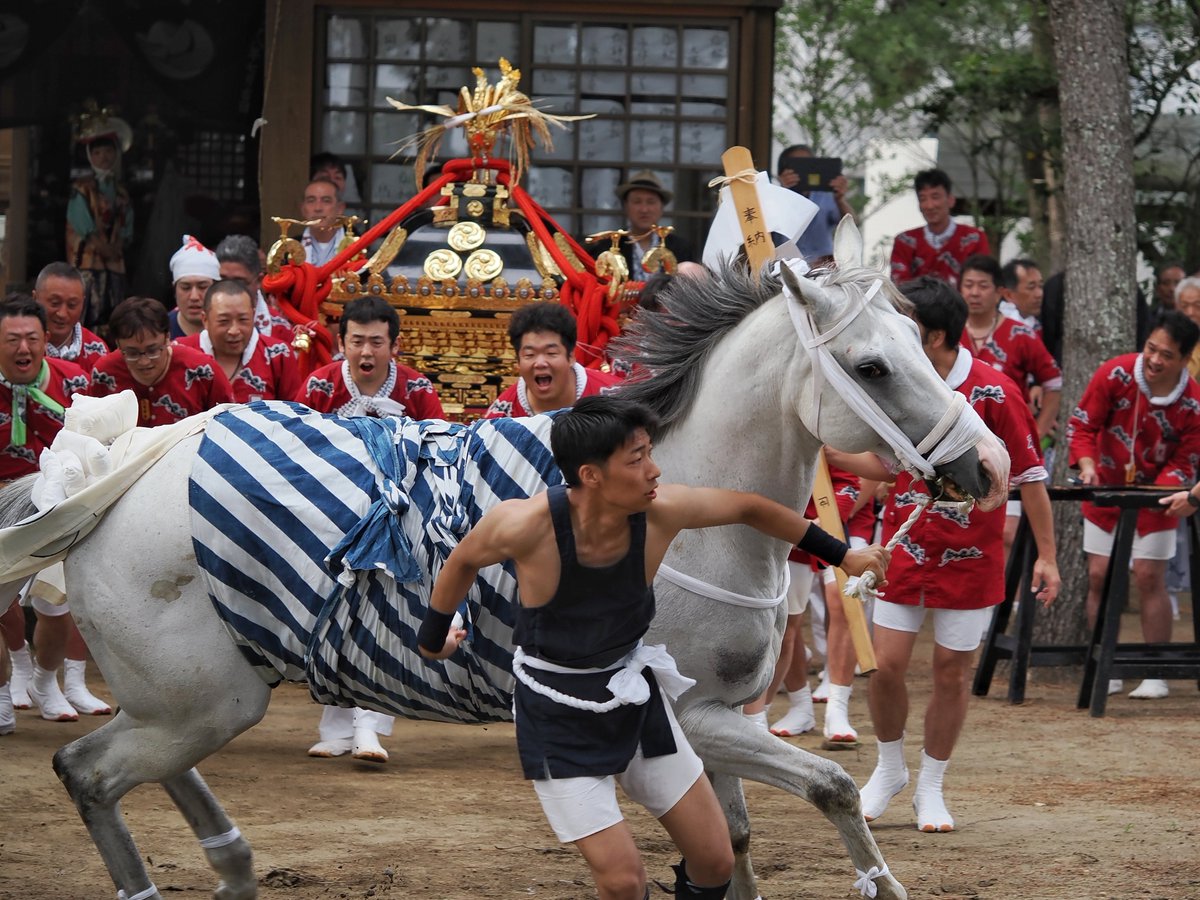 行方市天王崎の八坂神社にて「麻生祇園馬出し祭」を見てきました。 馬