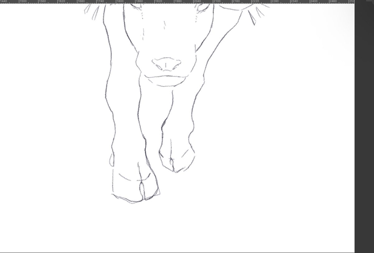 deer0037's tweet photo. 七夕で水牛ならかけるなんて考えて後悔してる
牛ってやっぱり難しい水牛は足の形が独特で余計に… https://t.co/6wD6Dquou0