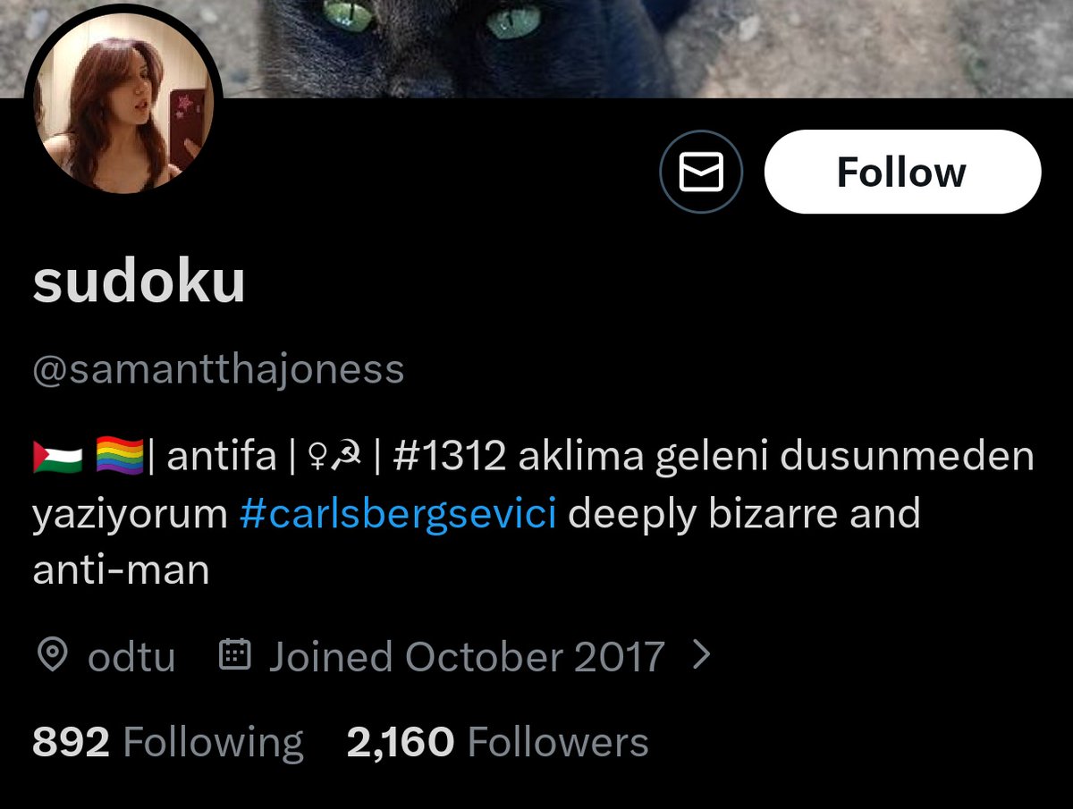 Catharsis tweet media