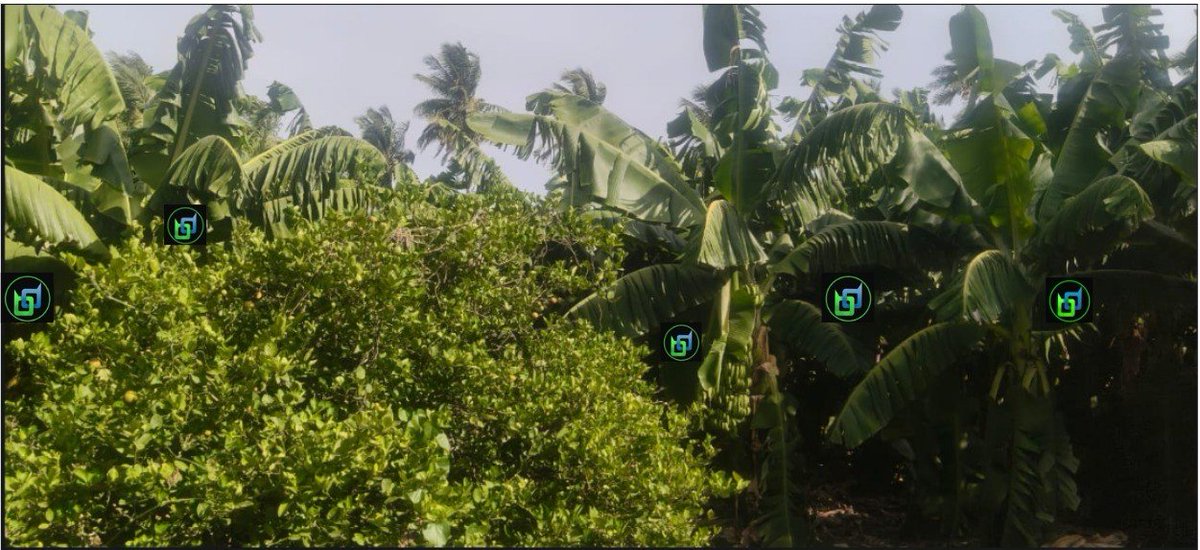 Lalithaakil's tweet photo. Very innovative contest.. happy to see green scenarios ... 💚 💚 https://t.co/NXlPg0K3gz