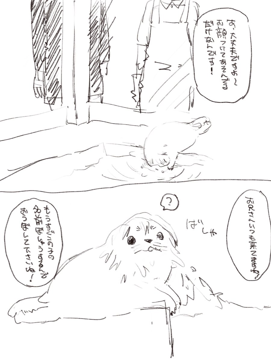 osawari2's tweet photo. あざらしのよいち　この流れです https://t.co/o9OEbJjusA
