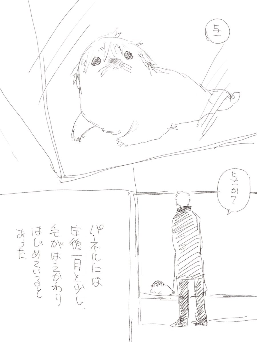 osawari2's tweet photo. あざらしのよいち　この流れです https://t.co/o9OEbJjusA