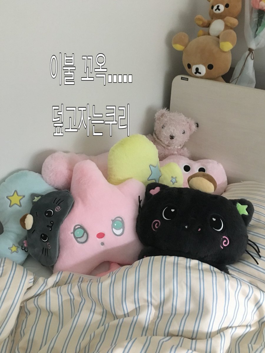 winkkku3's tweet photo. #위즈니트친소 #위즈니_트친소

윗시조아한지264일된위쥬니입니다아
셤끗나구 돌아왓는데 트친 증발이슈로,,트친소열어여,,,
부산사시면 오프두 같이해여(՞ ܸ. .ܸ՞)♥!♥!♥!
+사담많코말도많아욝ㅎ

♥<<<ff
소듕하고사랑하눈트친들인알해조~💕💕💕 https://t.co/oQsN84flvj