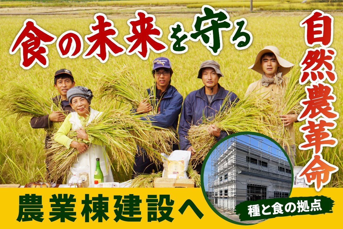ToyoukeOrganics's tweet photo. *＼クラファン挑戦決定！応援お願いします🌾／*
https://t.co/QvOzAlABFk

日本の伝統的な農業と在来種のタネを未来へ守るため、新しい農業棟を建設します！
資材高騰という試練を迎えていますが、ここで立ち止まるわけにはいきません。

建設する農業棟は、お米やタネの保管庫（シードバンク）となるだけでなく、皆様に豊受式自然農の技術指導を提供し、収穫したての作物をその場で食べ滋養を養って頂く場。心身共に自然と共生し、本来の人が生きる姿を取り戻す 「いやしろ地」を皆さまと共に創り上げたいです。

*成功の鍵は公開直後のスタートダッシュ🔥*       
限定リターンを確実にGETするためにも、今すぐ「お気に入り登録」で公開通 知をお受け取りください！

*👇1分で完了！事前登録はこちら* 
https://t.co/QvOzAlABFk