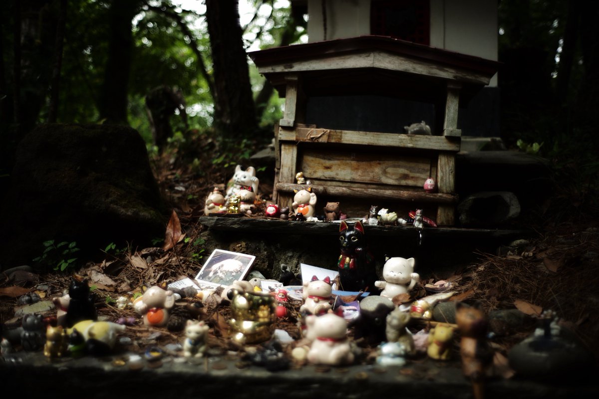 Weboshi_M240's tweet photo. 猫神社

Leica M typ240
Summilux 35mm f1.4 2nd https://t.co/CnhOhiDs3U