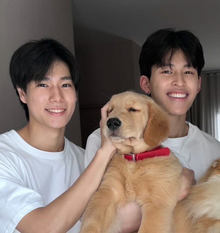seetheright_1's tweet photo. ลูกผม ลูกเธอ ลูกเรา 🐶😾 https://t.co/rzox6P7M15