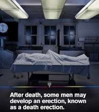 mattarisque's tweet photo. Why and how does postmortem priapism happen https://t.co/j1nSHMhCcX