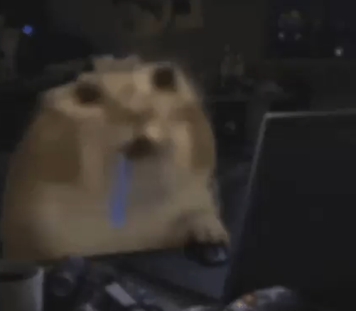 Serphinious's tweet photo. me when roadhog overwatch https://t.co/jEMC5hAHSj