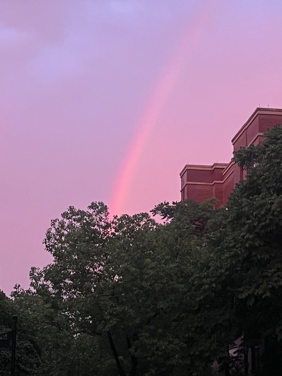 lanxiaogua's tweet photo. 回来正好遇见🌈
是幸运的一天❤️ https://t.co/qilT98Wzle