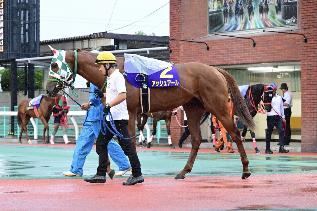 sagakeiba's tweet photo. 【佐賀ユーススプリント】
レース後調教師コメント

4着アッシュアール号
池田調教師
「このメンバーでも頑張ってくれましたし、初騎乗の金山騎手も上手く乗ってくれました。スタートが出脚五分に出れるともっと良いのですが…。次も頑張ります。」

#さがけいば #サガデーナイト競馬 https://t.co/iO3wDcPXAa