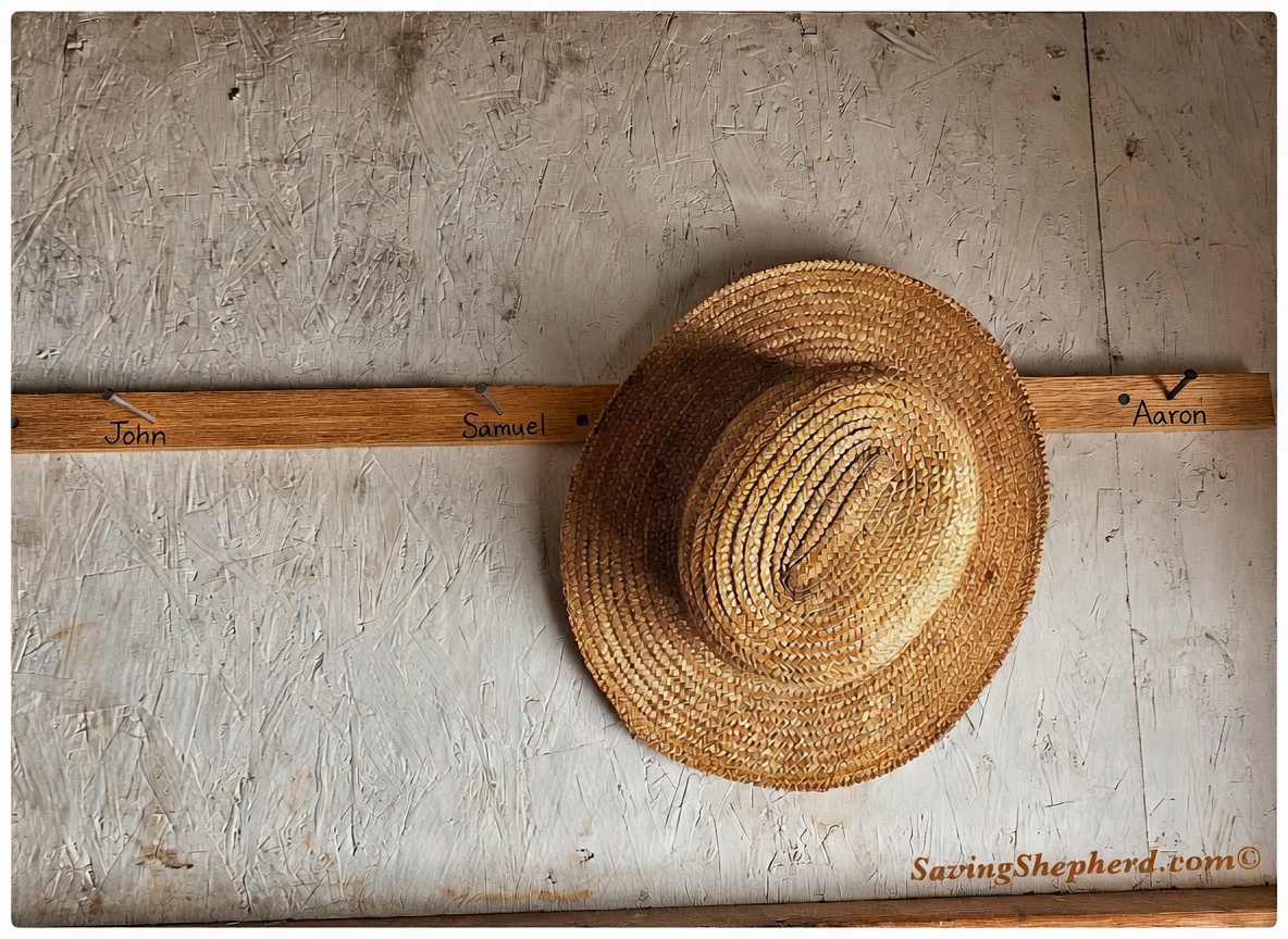 SavingShepherd's tweet photo. “Character is much easier kept than recovered.” t.paine
#character #motivation #quoteoftheday #SavingShepherd #Amish #life #photooftheday #kindness #love #bekind #inspiration #quotes #simplelife #photography #amishlife #picoftheday #travel #Lancaster #Pennsylvania #USA 🇺🇸 https://t.co/OtrDaH9WRv