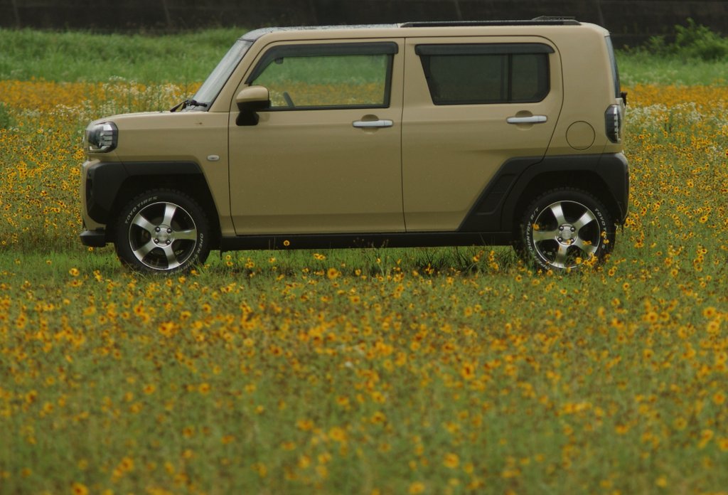puntasan's tweet photo. 雨が止んだタイミングで、奥様号×ハルシャギク畑🌼で撮影会📸

#opencountry
#toyotires https://t.co/pGrGSOQ0QF