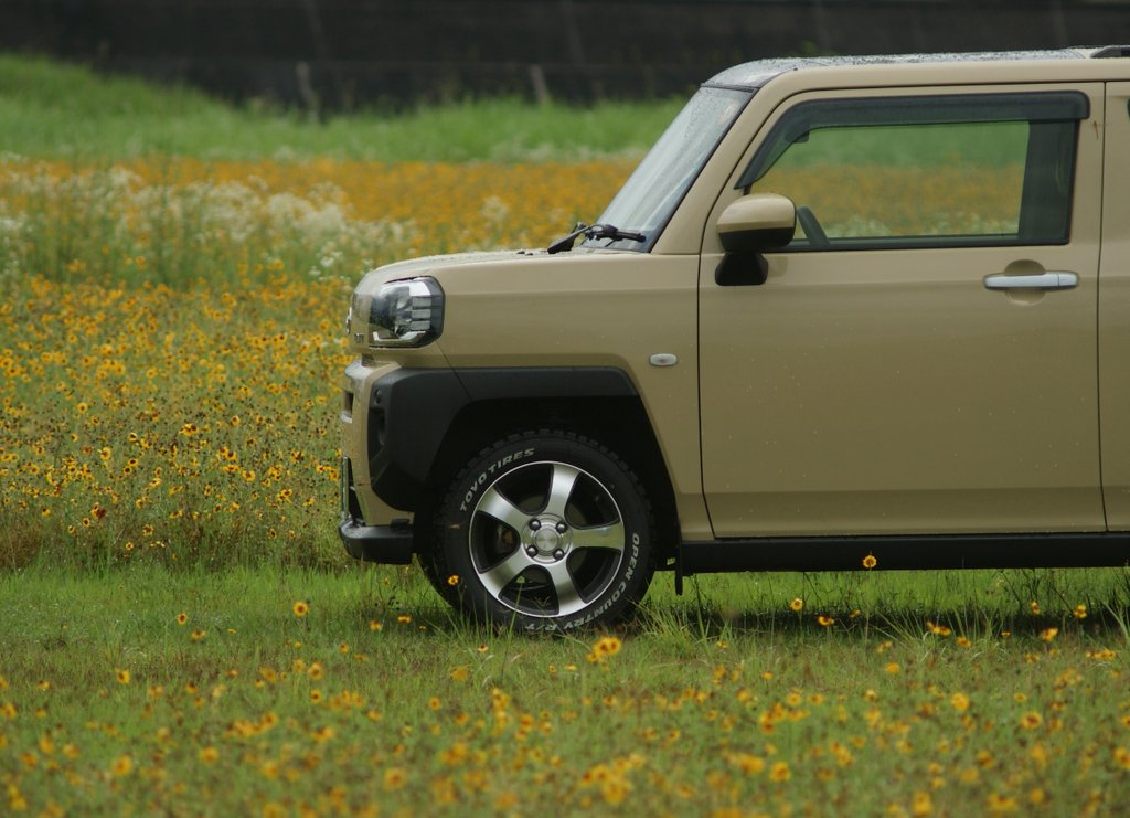 puntasan's tweet photo. 雨が止んだタイミングで、奥様号×ハルシャギク畑🌼で撮影会📸

#opencountry
#toyotires https://t.co/pGrGSOQ0QF