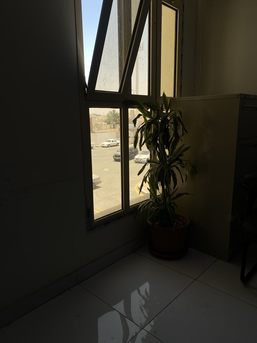 ixrai5's tweet photo. اول يوم تدريب 👩🏻‍💻

" بسمِ الله ربِّ البدايات نبدأ  "
بإسمك اللَّهم أخوض دروبًا جديدة 
🌟🌟🌟🌟🌟🌟🌟🌟 https://t.co/SMww1pEFT7