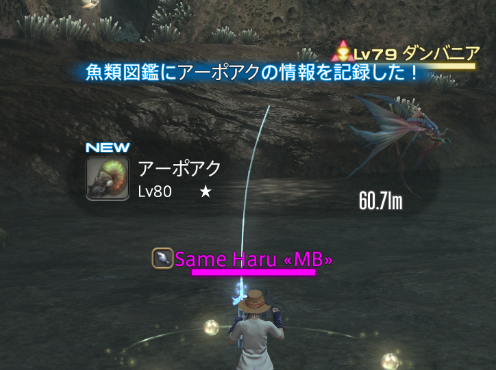 same_haru_same's tweet photo. 魚類図鑑始めたってよ https://t.co/wmDjAQni53