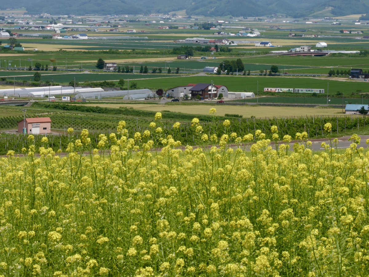 Sakup93r16's tweet photo. #JR北海道
#富良野線
#DECMO
#H100形
#撮り鉄 https://t.co/R35p1T5B7Y