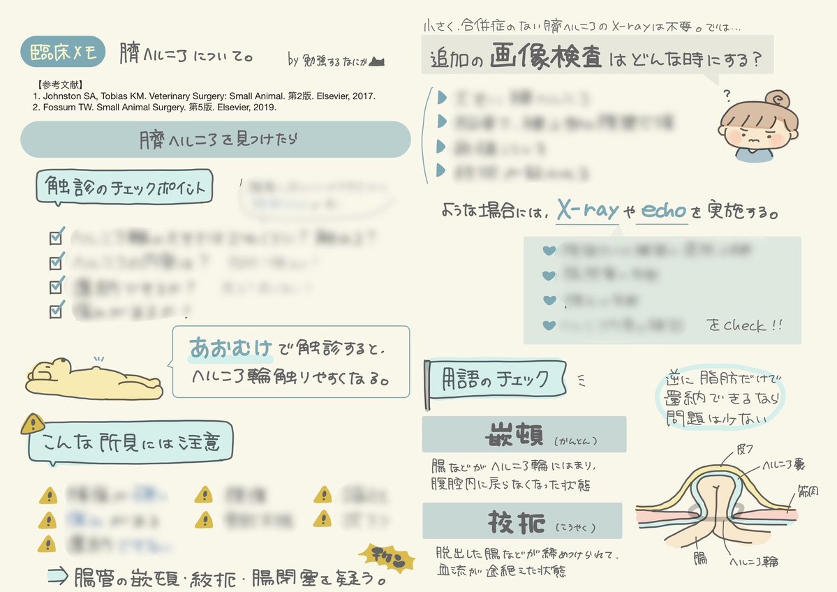 studying__vet's tweet photo. 今回は『臍ヘルニア』について

・触診で見るポイント
・危険な所見
・追加検査を考えるタイミング
・手術をすすめるケース
・飼い主さんへの説明例

をまとめました📖

続きはnoteで読めます🐶

https://t.co/PaGvOMd9C3 https://t.co/AmU7o47EMy