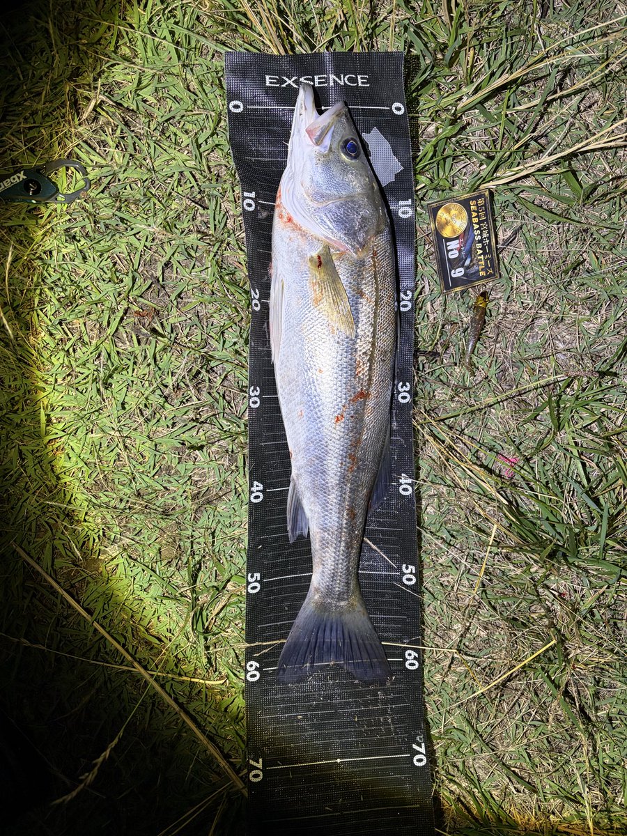 itabashi26's tweet photo. 今年も宮城シーバスホーミーズ　シーバスバトルに参加させて頂きました🎣
ちなみに皆勤賞です♪
今年はなんとかウェイインすることが出来ました🤣
運営の皆様のおかげでとても良い２日間を過ごす事が出来ました！ありがとうございました🙇🏻‍♂️
#宮城シーバスホーミーズ
#SHIMANO https://t.co/FgEOx6BY9i