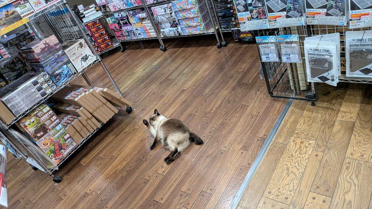 kurakuraplamo's tweet photo. 広島県三次市で営業している模型屋、ホビーショップくらくらの本日の営業は19時で終了いたしました
明日もいつも通り正午から営業、皆様のご来店をお待ちしております https://t.co/OZy5FAe1nj