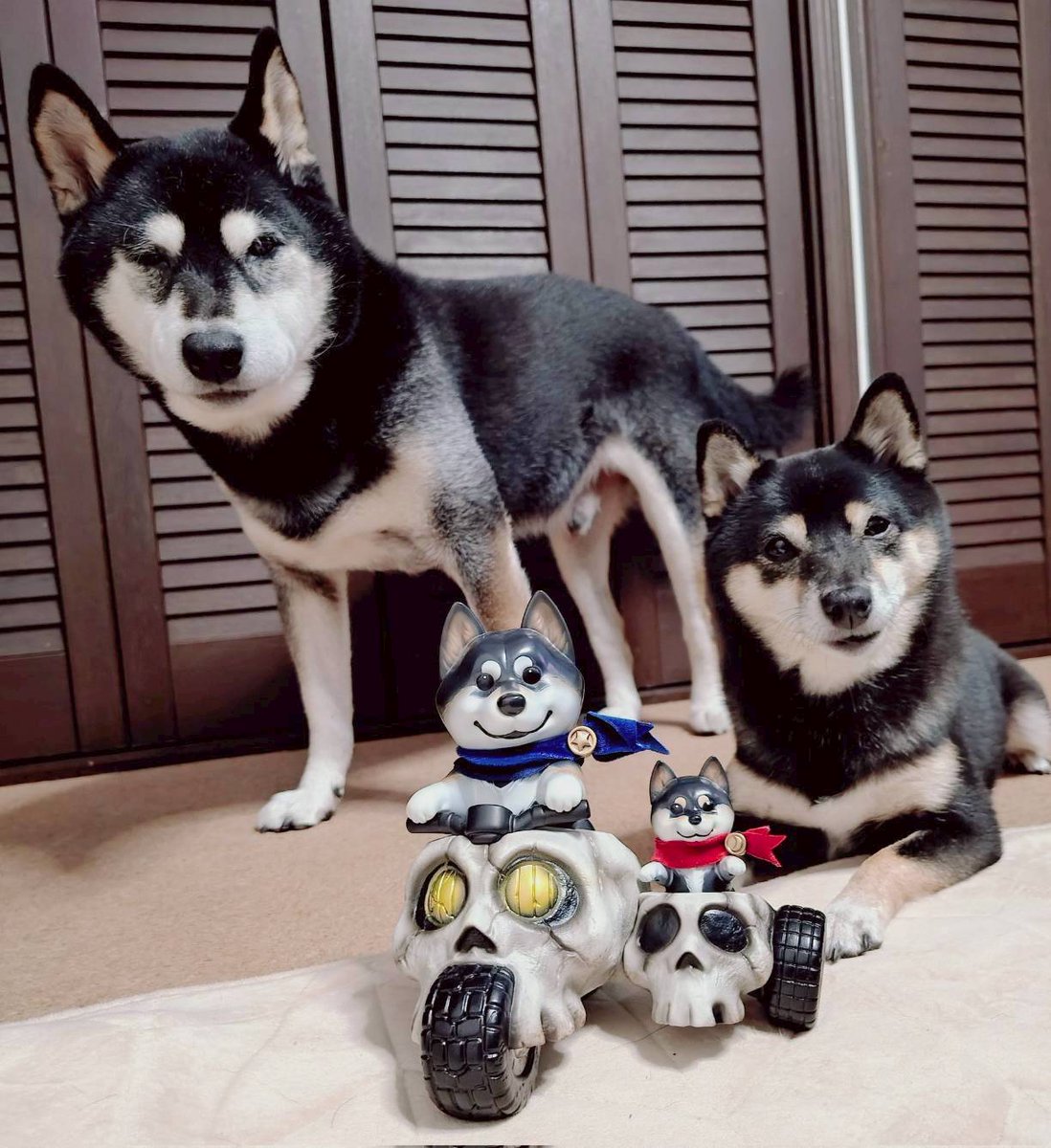 京ソフ4ディーラー紹介 ㉕ marukadocco ​ 黒柴犬兄妹のソフビを作って