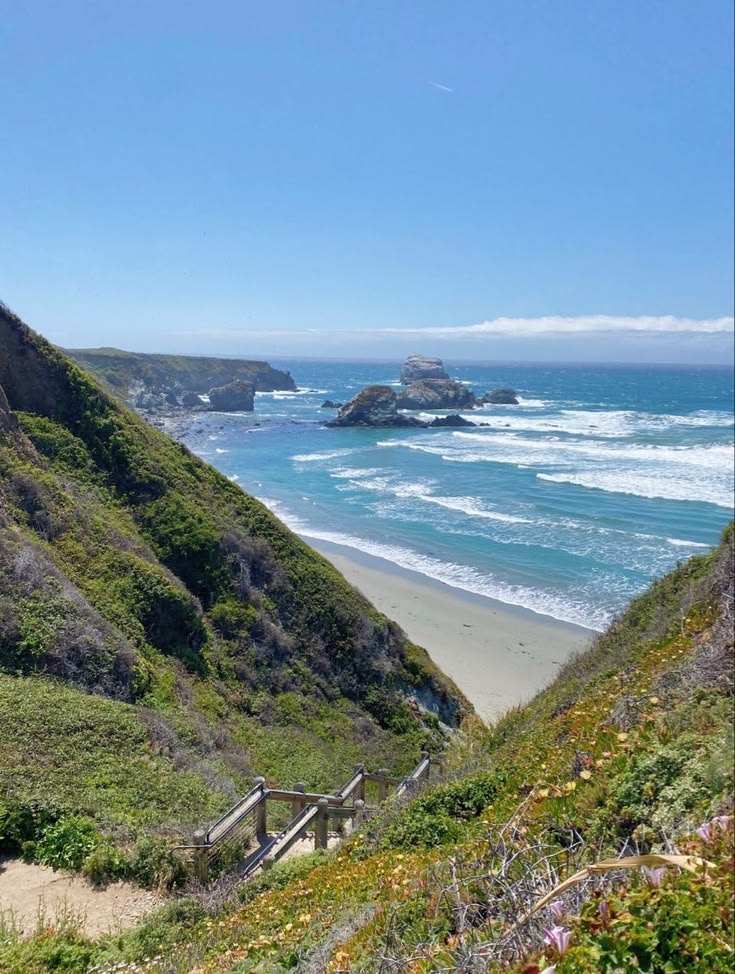 naturalbeautyi7's tweet photo. California 🇺🇸 https://t.co/REJs5WO6pA