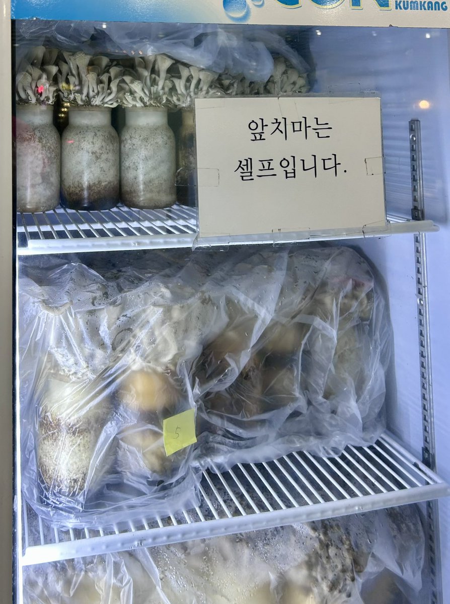 3gn1ledx's tweet photo. 홍대에 버섯 샤브샤브가 유명한 식당 왔는데 냉장고에 느타리버섯들이 있었다😨🍄‍🟫🍄 https://t.co/fww66Wawt6