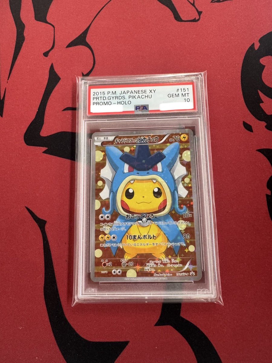 ✨【入荷情報】✨ ギャラドスごっこピカチュウ: プロモ[XY-P 151/XY-P